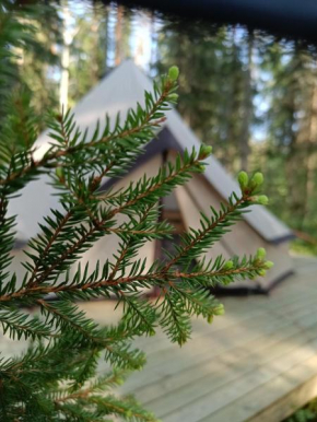 Kallion Kamujen Glamping teltta-alue